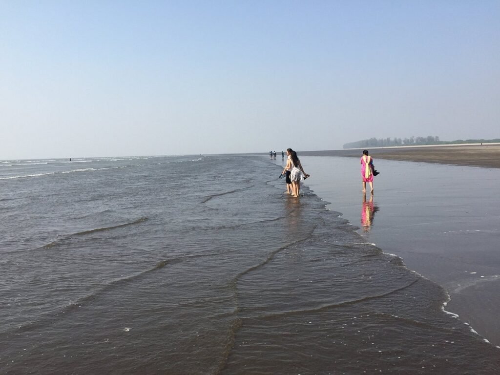 हिवाळ्यात पालघर जिल्ह्यातील निसर्ग