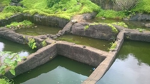 Tandulwadi Fort